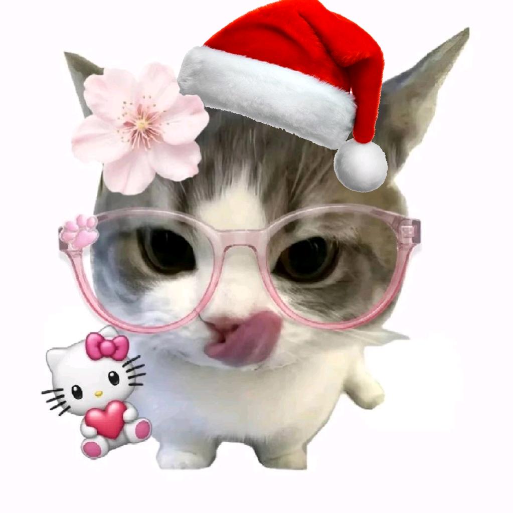 小猫肘击二旬老人