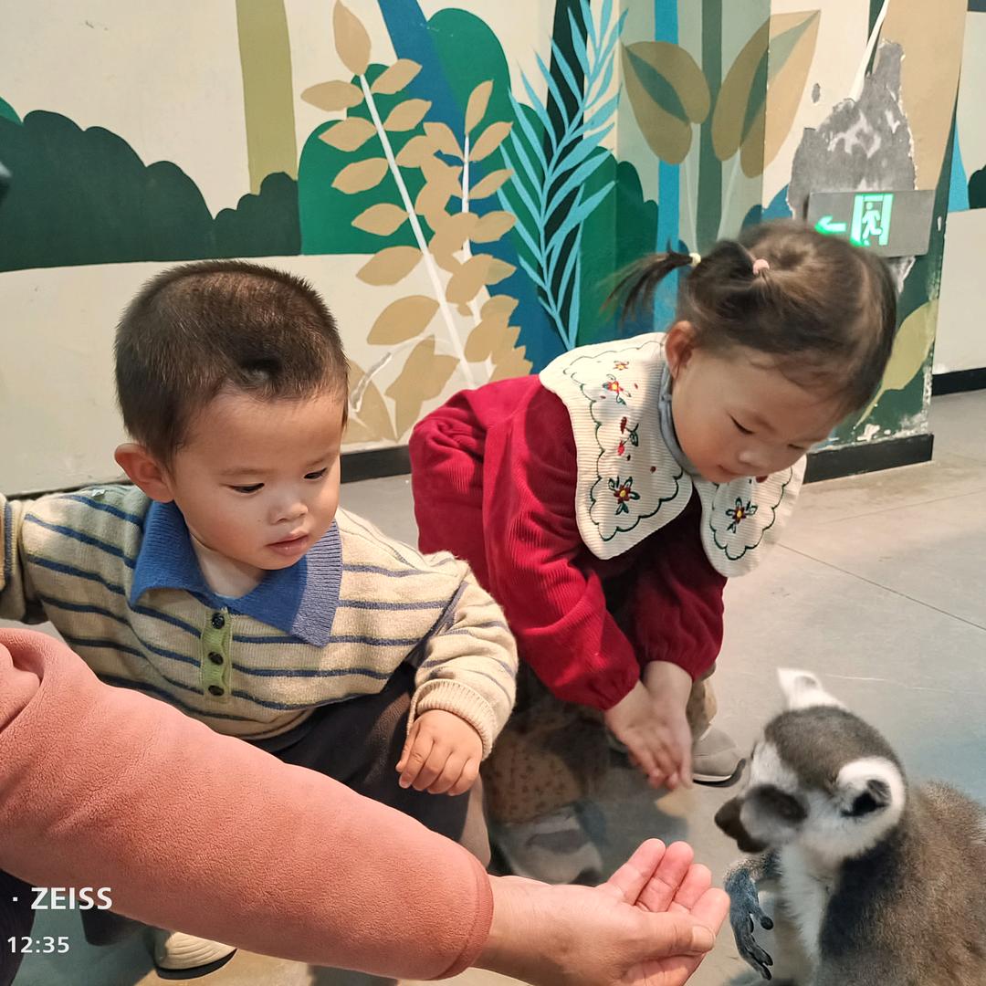 叶子，