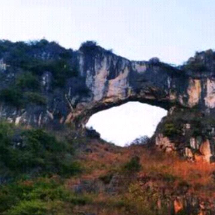 来宾芳姐