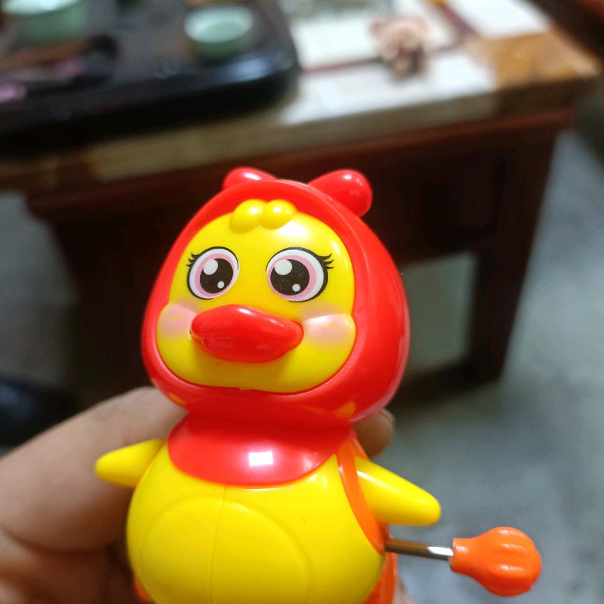 豪