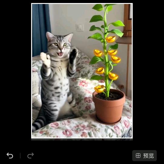 王家小女