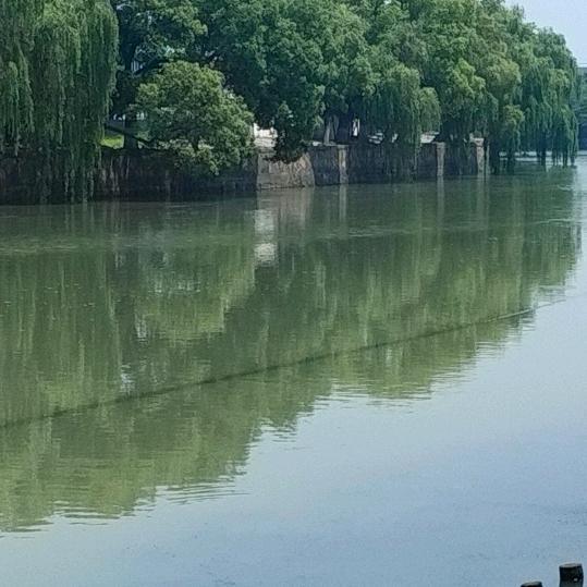 花香鸟浯