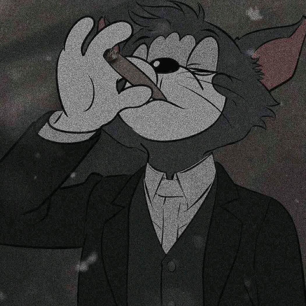 贼正经的猫