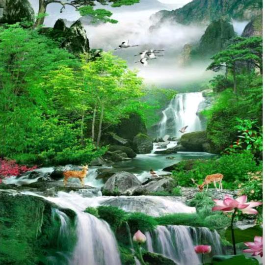 ♫(͡◕  ◕͡)神采飞扬