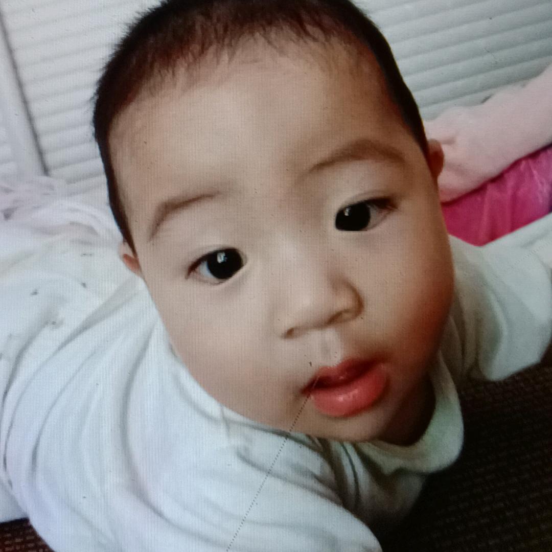 wan15094337293