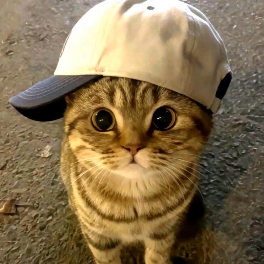 小江._