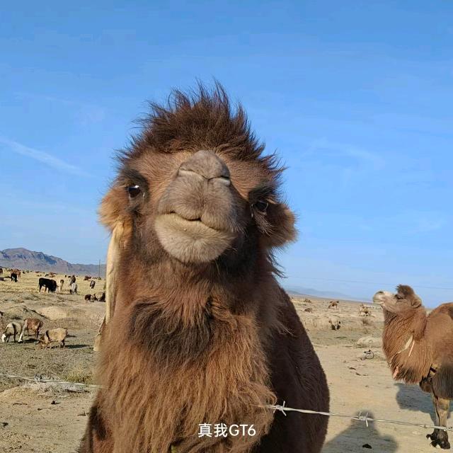 裂开