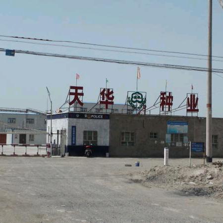 巴州天华种业-小秦