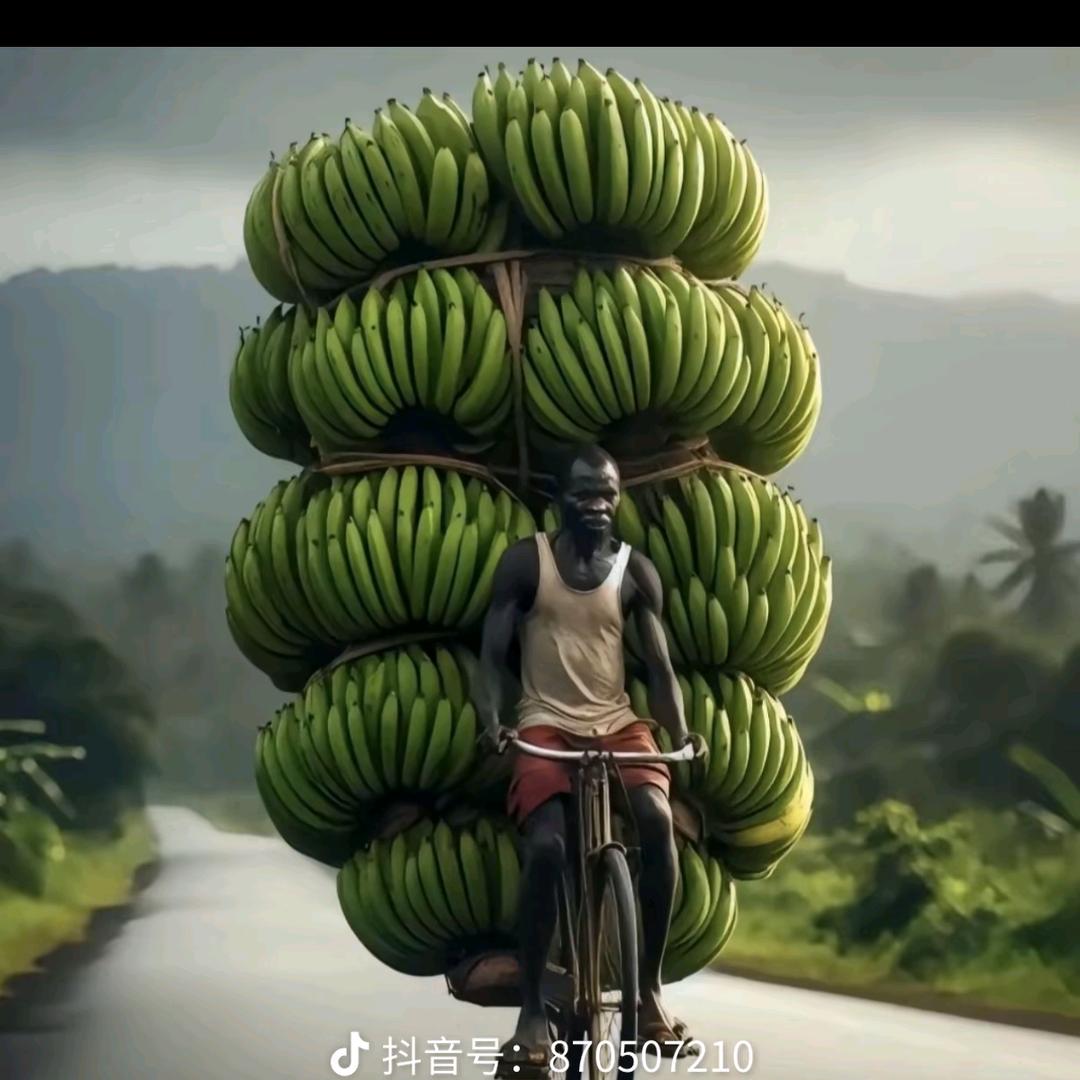 辣椒炒豆角