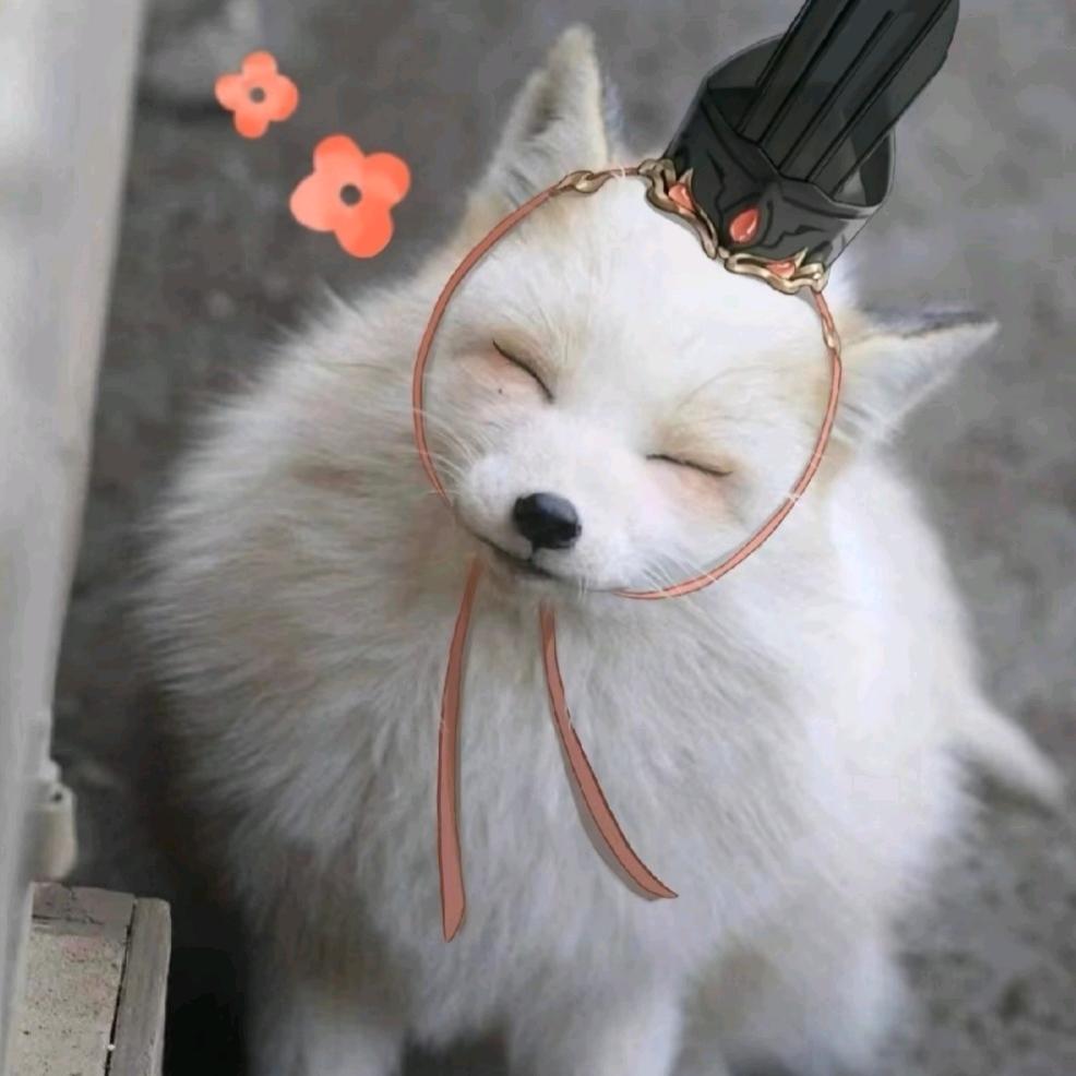 歪歪殿下