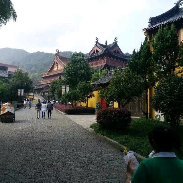 小孙孙很哇塞