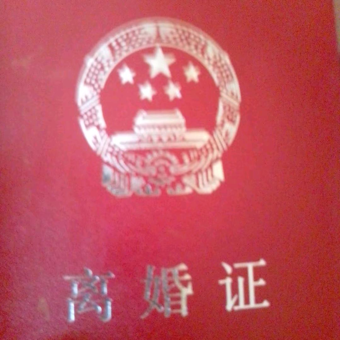 黑凤