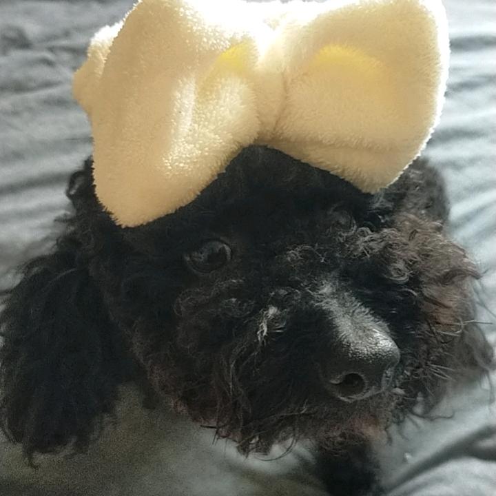 钱墩儿