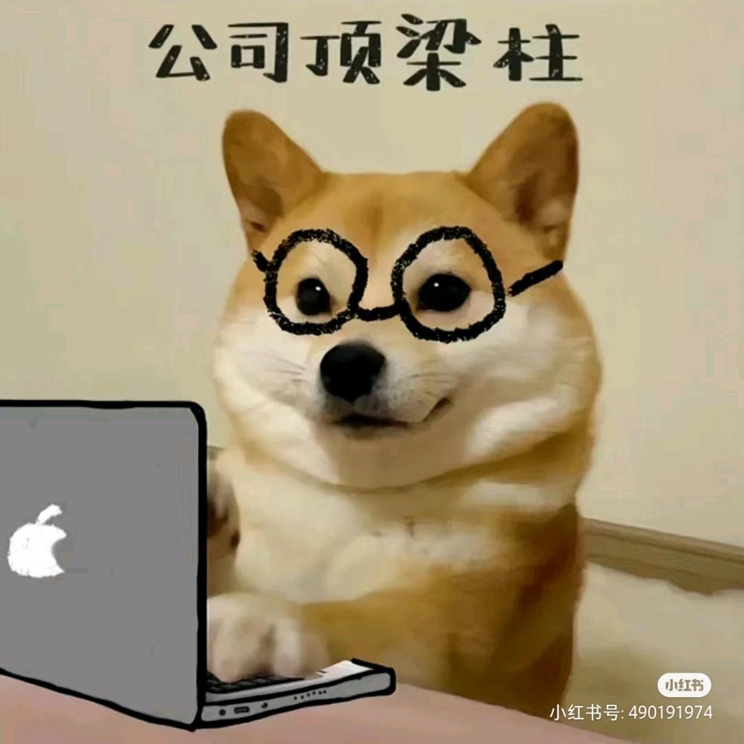 武汉再就业