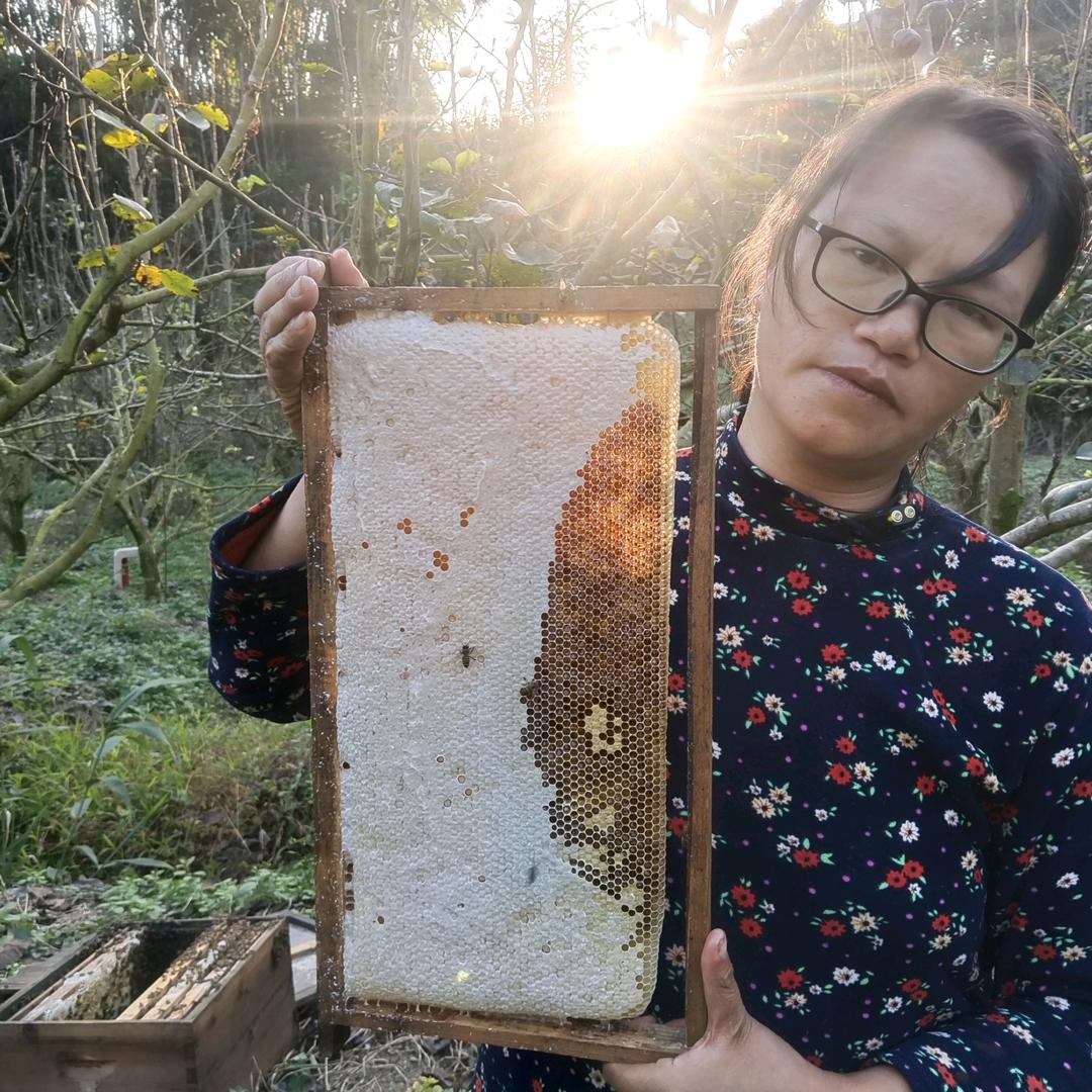 爱养蜂的华姐夫妻