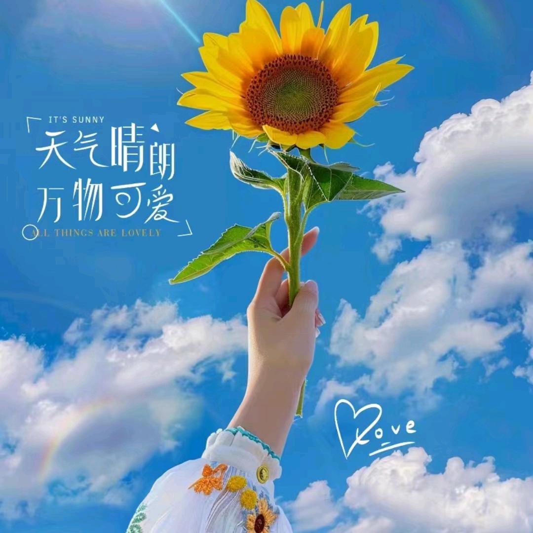 鸿运柏林理疗中心光彩