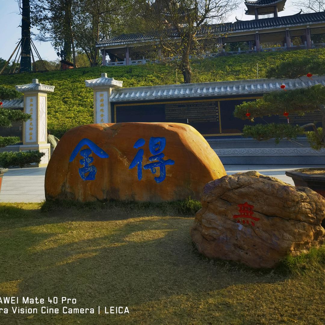 东方青木读经典
