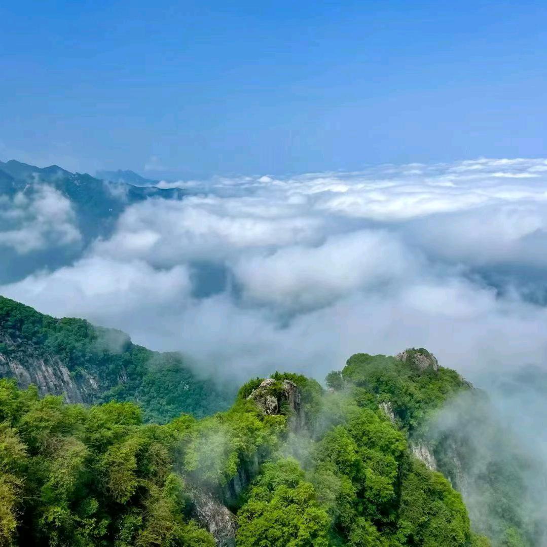 到哪都选139驾校