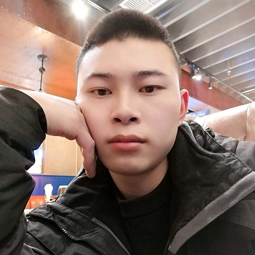 飞翔的鸟