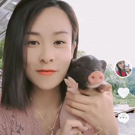 创业养猪莉莉小号