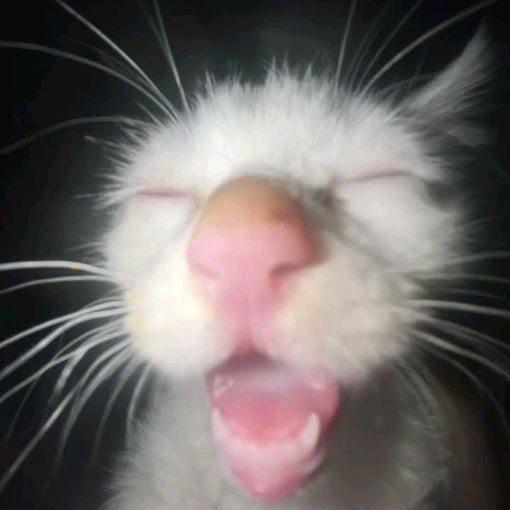 叁婶.（抖音别限流了呗）