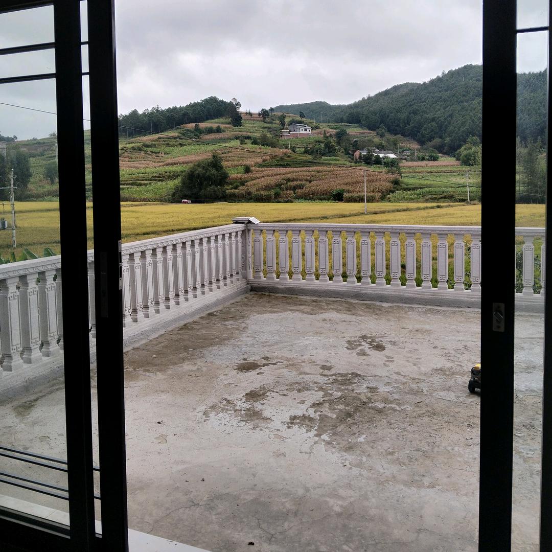子非鱼，安知鱼之乐