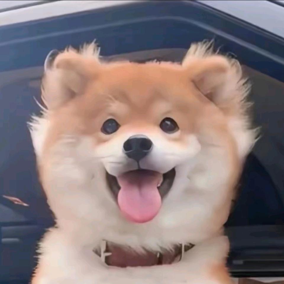 萌猫馆长