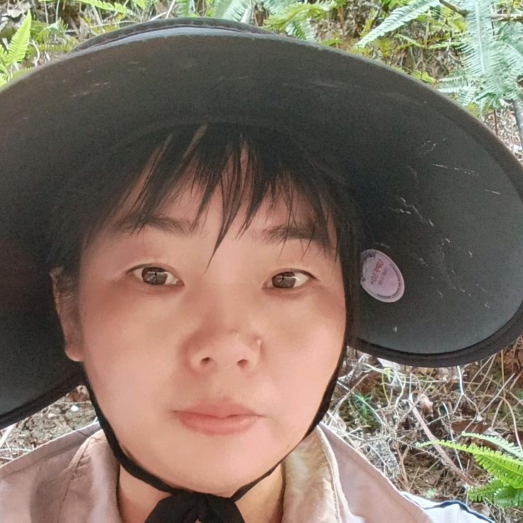 江西梅子