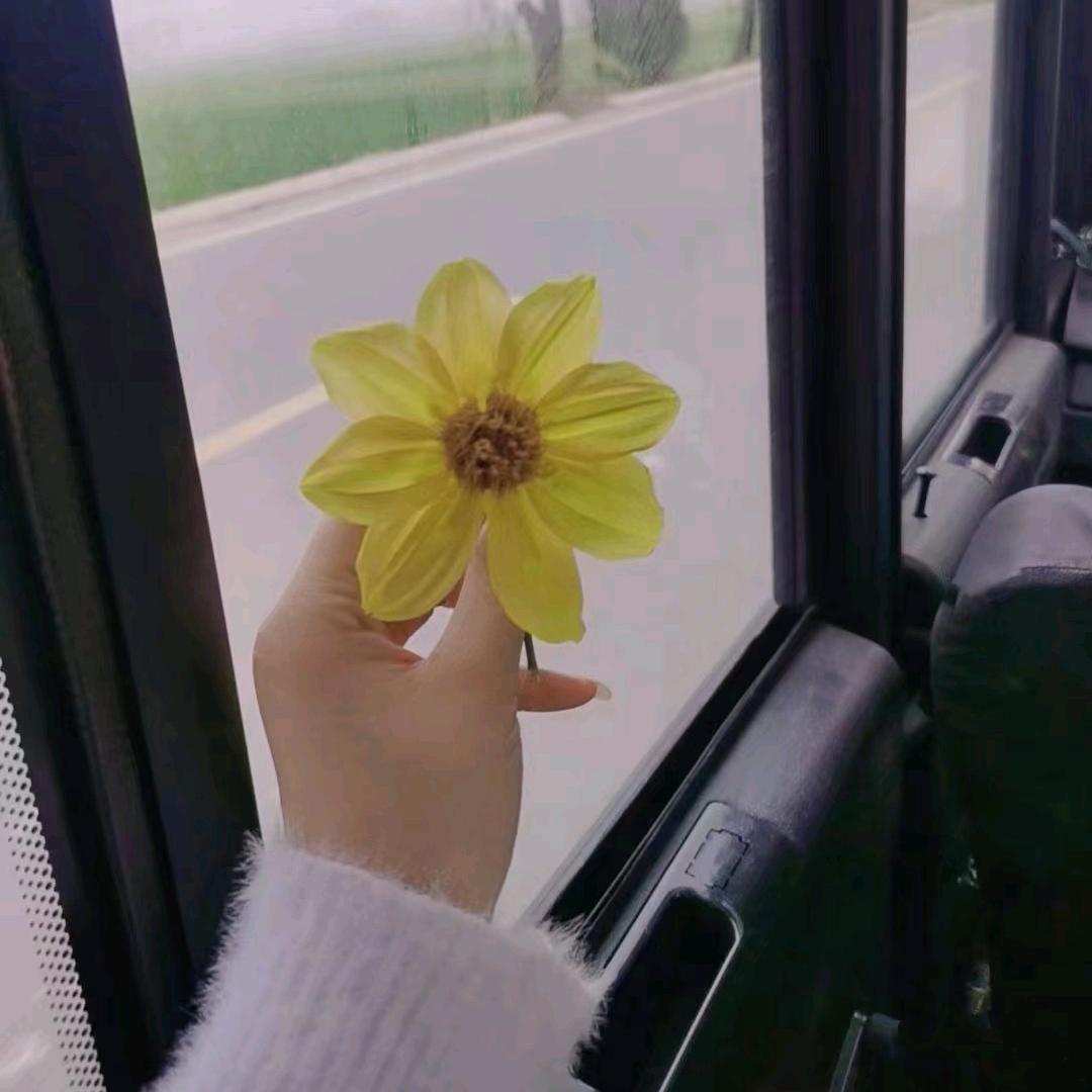 花凌