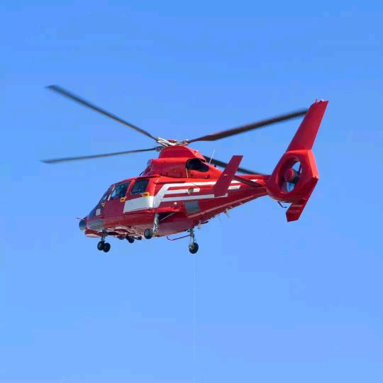 五🍎粮🍎液♥