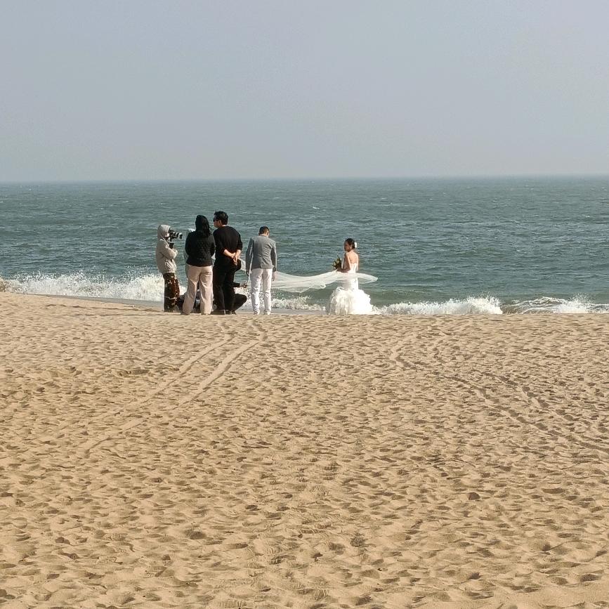 杨梅泡芙