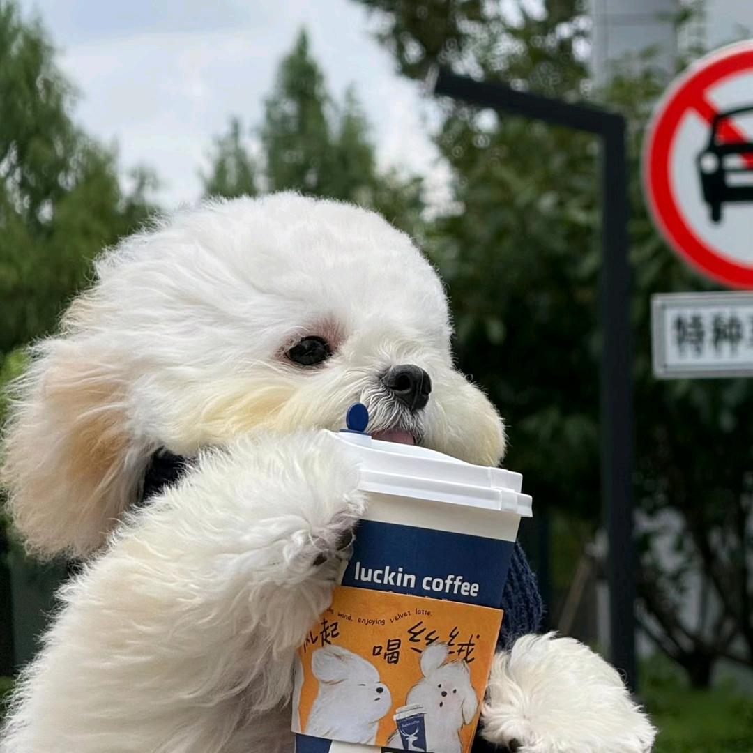 爱吃葡萄