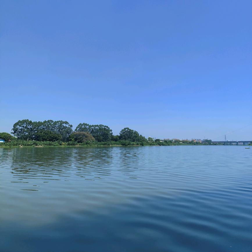 鋐雨睿芯《橱窗》