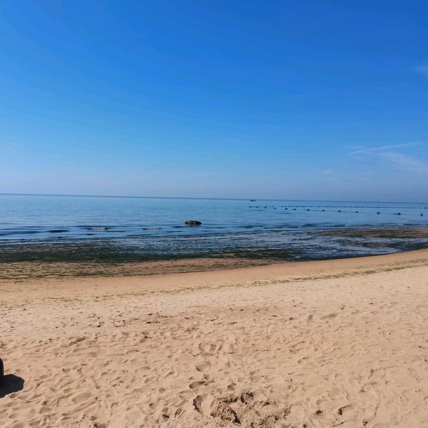 顏寶