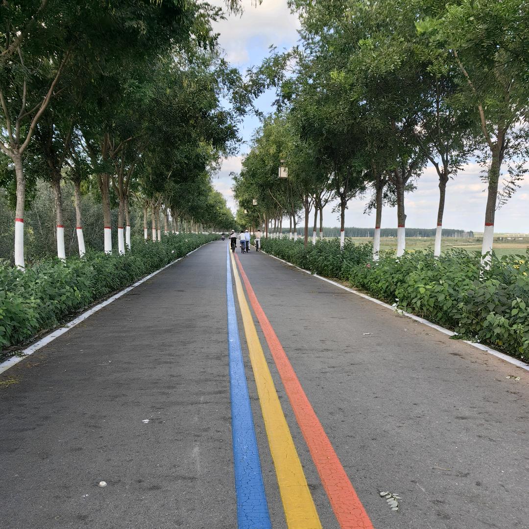 南有乔木 不可休思