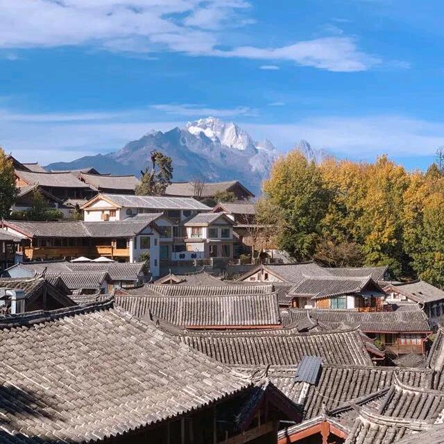 落叶知秋