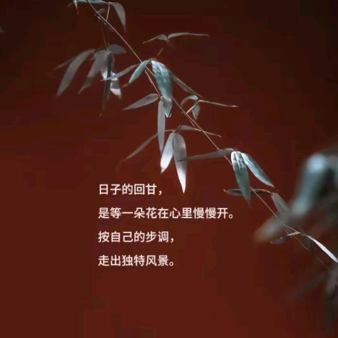 平凡的自己