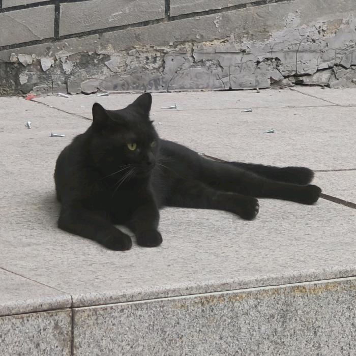 生活津津有味，拌面统治世界