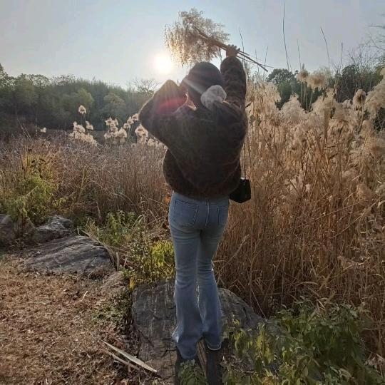 詹詹拾暖☀️✨☁️📚🕊️