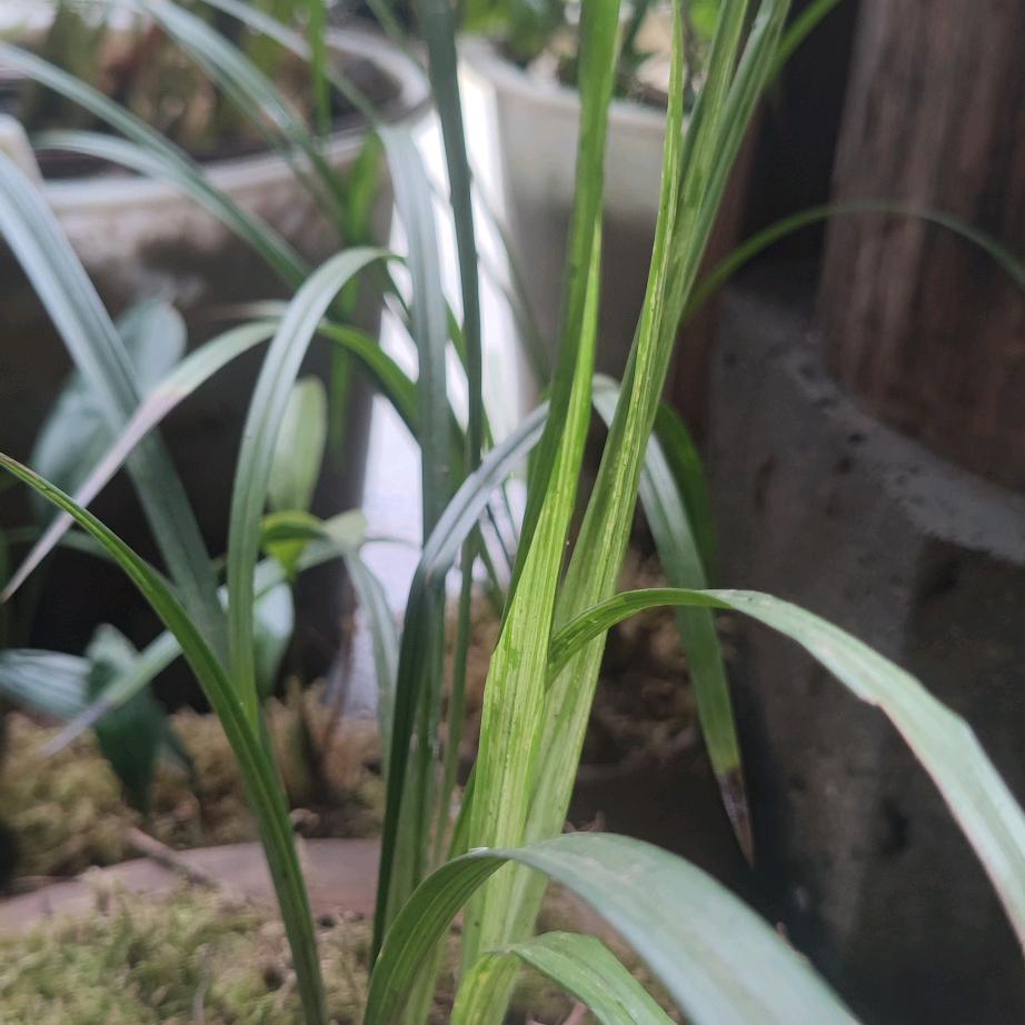 永远奋斗