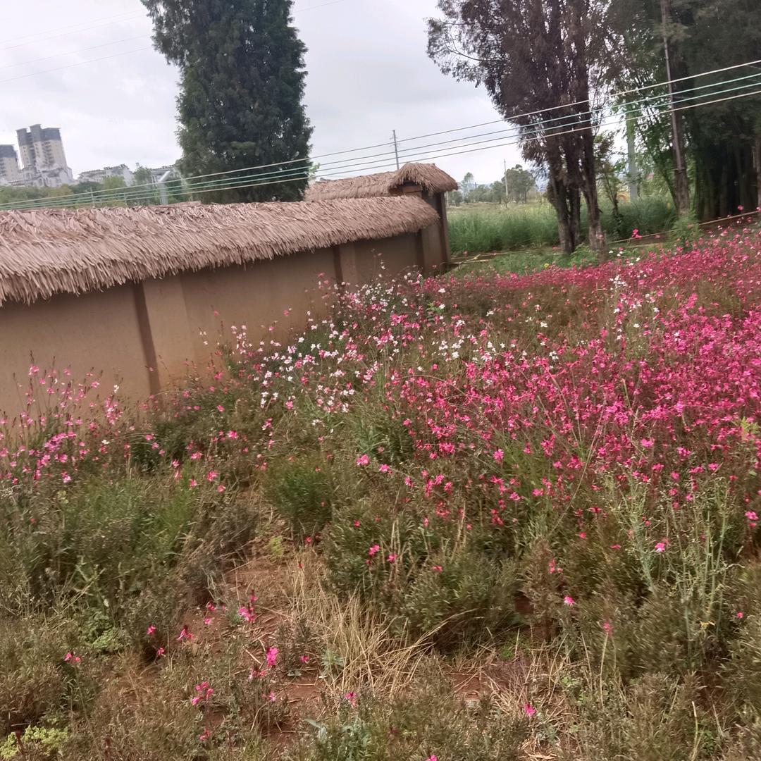 快乐每一天打工妹