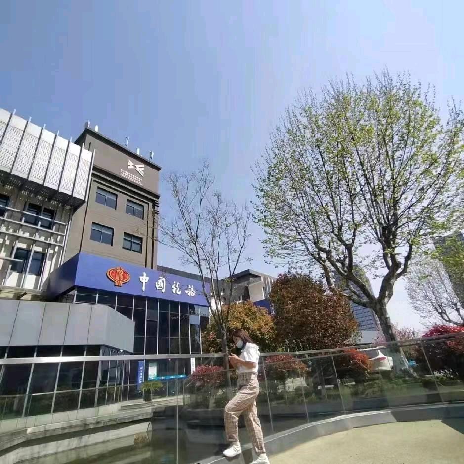 罗宝