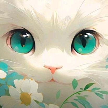 小白很菜头像