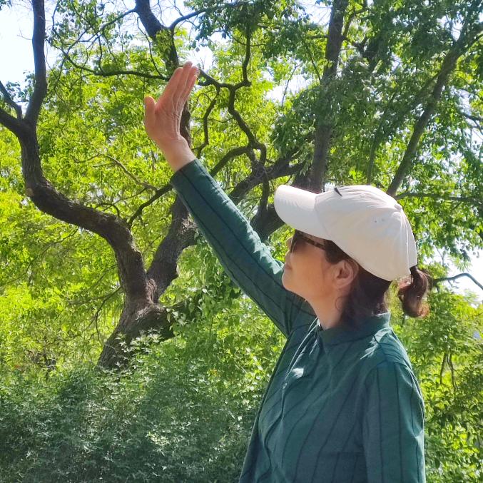 果果姥姥(江苏25年1月26日)