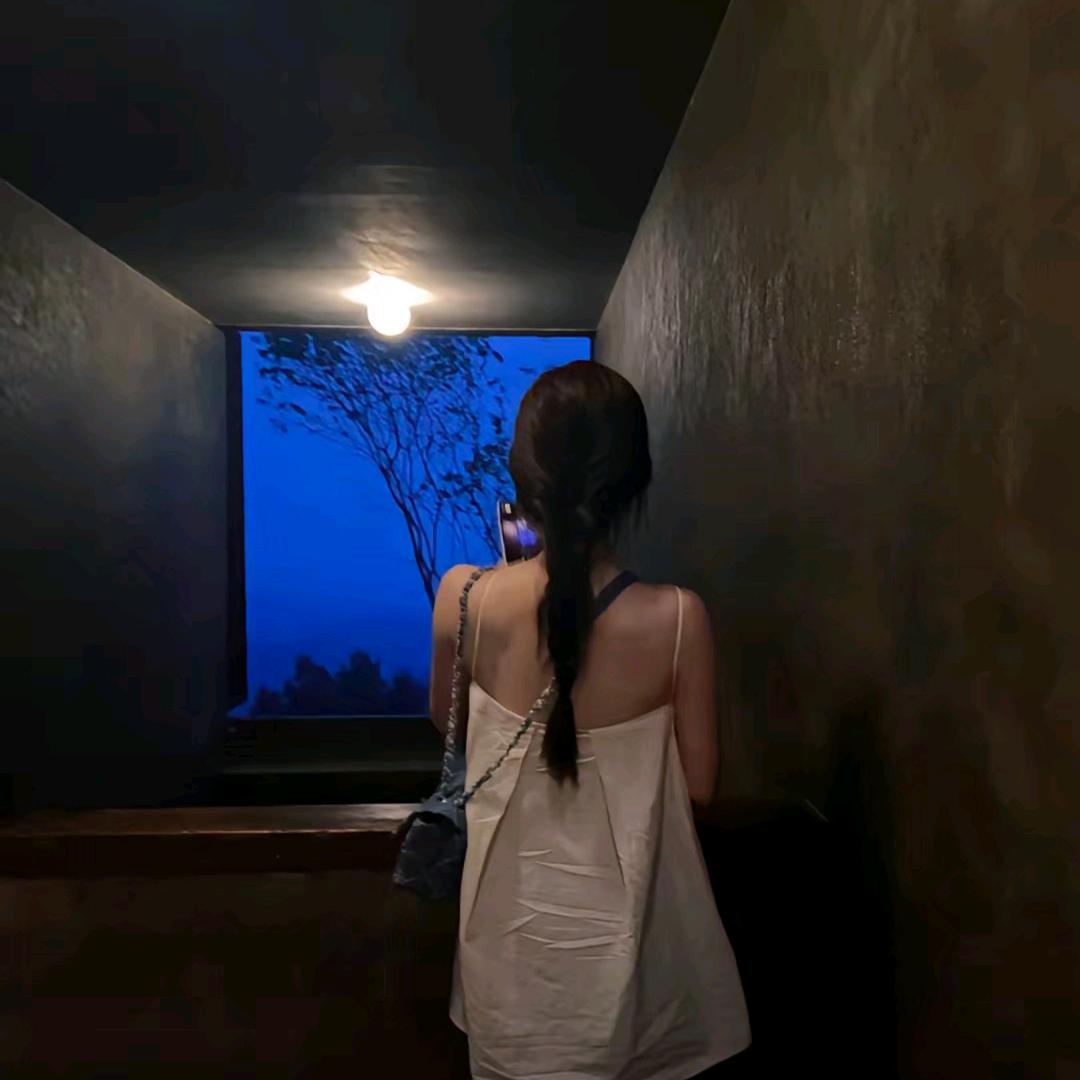 黎宝宝
