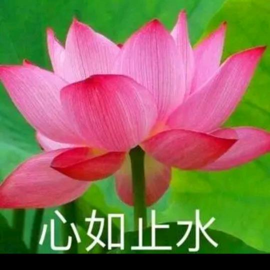刘三姐