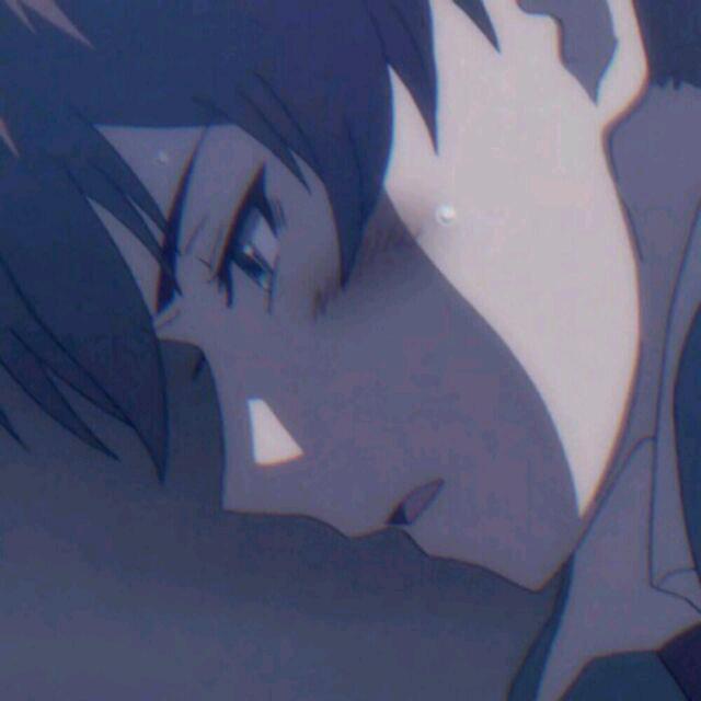 星星的使者
