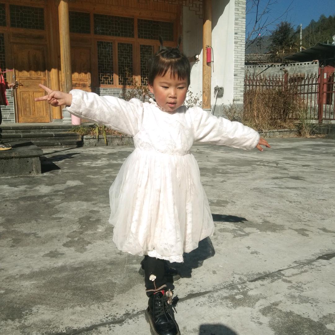 小挖机出租带破碎锤小瓢