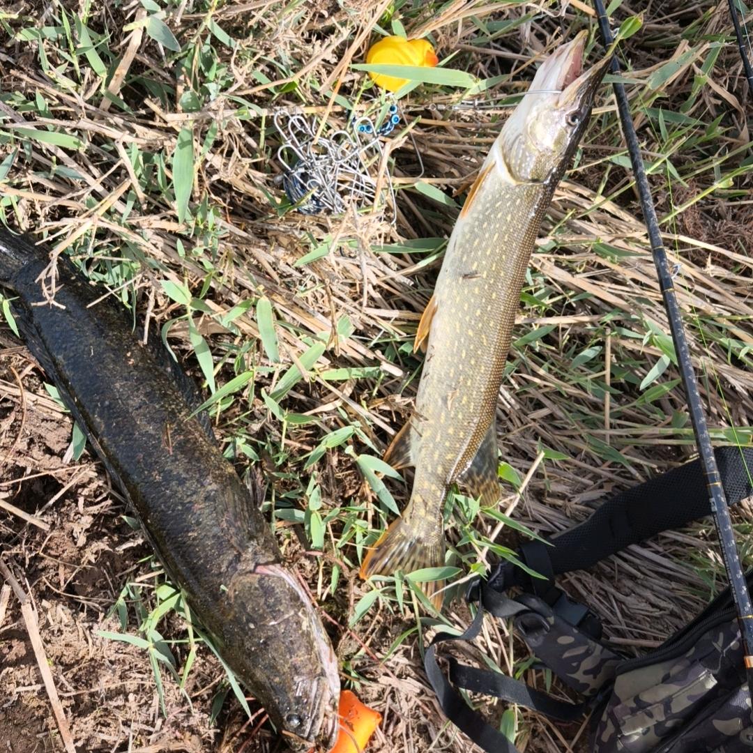 🎣路个亚🎣