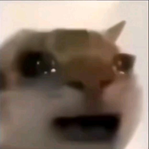 不配当主播